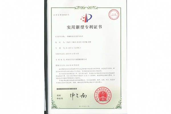 實用新型 (21)