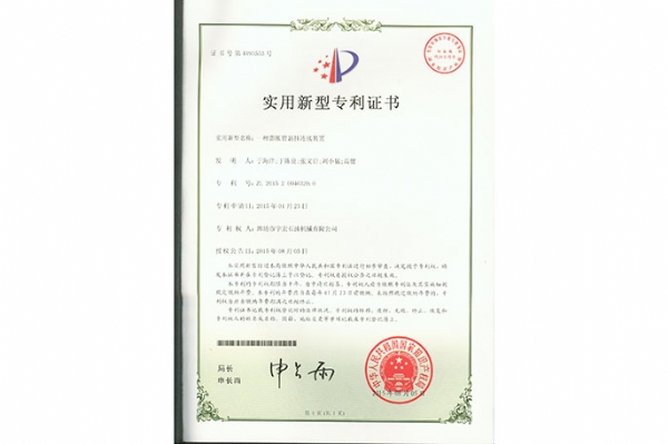 實用新型 (5)